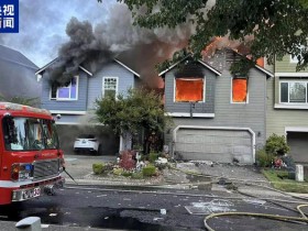 美国俄勒冈州一小型飞机在居民区坠毁 已致3人死亡