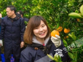 剑桥学霸回乡创业 立志做农业现代化的耕耘者