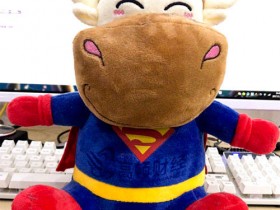 阻碍考取ACCA的6大困难 语言竟然不是第一位?