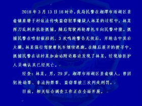 湖南湘潭一名盗窃嫌犯拒捕 鸣枪无效后被击中死亡