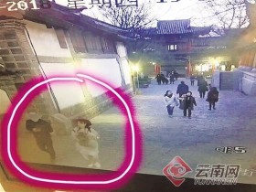 夫妇爱犬被拐到河南 为其打滴滴搭飞机托运回昆明